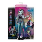 Jucarii, Copii si Bebe - Jucarii si jocuri - Papusi si accesorii - Papusi - Monster high papusa frankie stein cu animalut si accesorii - Infinity.ro
