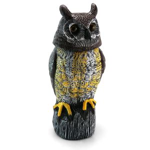 Casa si Gradina - Gradina si terasa - Decoratiuni exterior - Infinity.ro