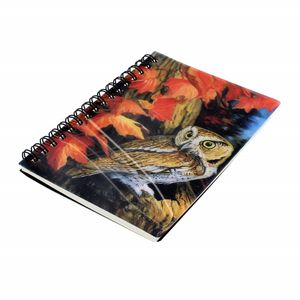 Carti si Birotica - Papetarie - Agende si calendare - Infinity.ro