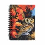 Carti si Birotica - Papetarie - Agende si calendare - Agende si carnete - Carnetel zoo, cu spirala, 3D, Two Owls - Infinity.ro
