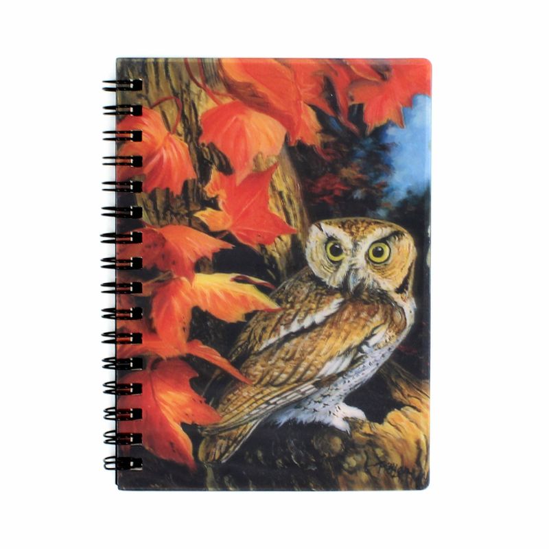 Carti si Birotica - Papetarie - Agende si calendare - Agende si carnete - Carnetel zoo, cu spirala, 3D, Two Owls - Infinity.ro