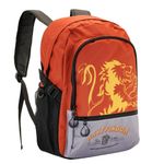 Carti si Birotica - Rechizite - Rucsacuri si genti scolare - Ghiozdan Harry Potter Griffindor 03520, 44 x 31 x 18 cm 44 x 31 x 18 cm Rosu/Gri - Infinity.ro