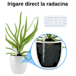 Casa si Gradina - Gradinarit si plante - Instalatii si accesorii pentru irigatii - Accesorii irigare - Kit de irigat la radacina plantelor, Florilor, WIFI, 20 Ghivece, 2 Pompe, Programator irigare, Aplicatie Smart Life - Infinity.ro