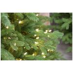 Casa si Gradina - Decoratiuni - Decoratiuni de sezon - Brad artificial verde Vienna cu lumini, PE, 198 cm, 600 leduri,  verde - Infinity.ro