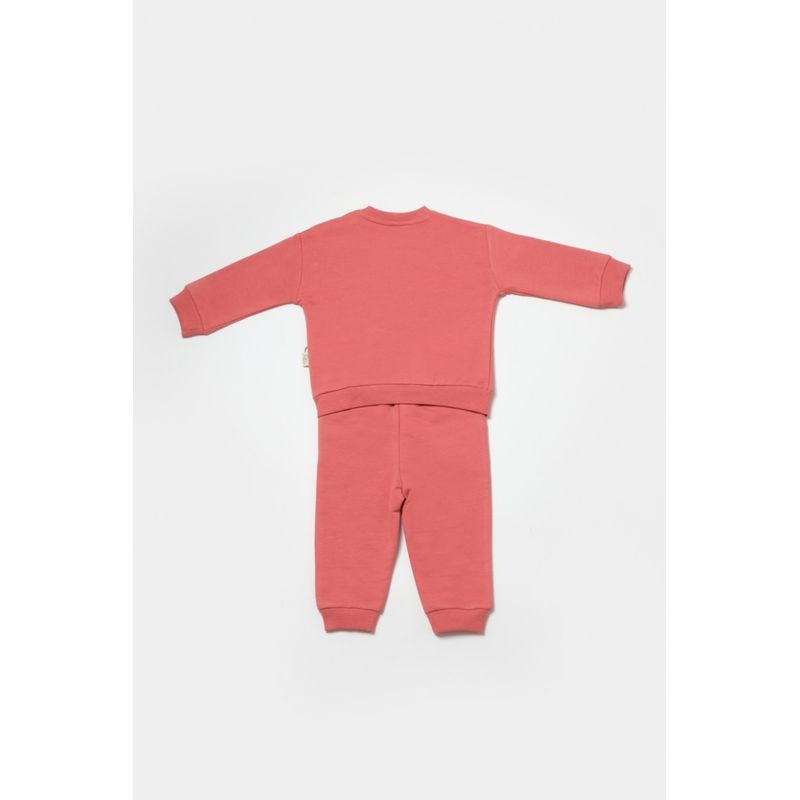 Fashion, accesorii si bijuterii - Copii - Imbracaminte copii - Treninguri si compleuri copii - Set hanorac si pantaloni, Two thread, 100%bumbac organic - Rose, BabyCosy (Marime: 12-18 Luni) - Infinity.ro