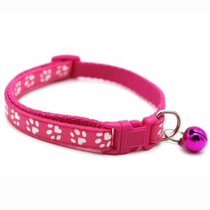 Petshop - Accesorii petshop - Zgarzi, lese si hamuri - Infinity.ro