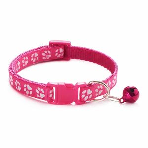 Petshop - Accesorii petshop - Zgarzi, lese si hamuri - Infinity.ro