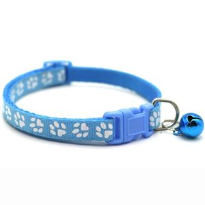 Petshop - Accesorii petshop - Zgarzi, lese si hamuri - Infinity.ro