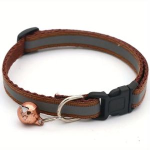 Petshop - Accesorii petshop - Zgarzi, lese si hamuri - Infinity.ro