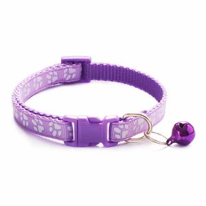 Petshop - Accesorii petshop - Zgarzi, lese si hamuri - Infinity.ro