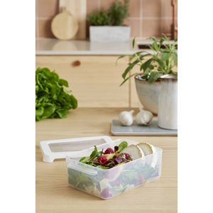 Cutie depozitare alimente, capac etans, SmartStore LunchBox, caserola pranz, fara BPA, transparenta, 0.3L