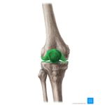 Ingrijire personala si Cosmetice - Sanatate si wellness - Suplimente alimentare - Vitamine si minerale - Pure Nutrition Joint Matrix (suport pentru articulatii) - 90 Tablete - Infinity.ro