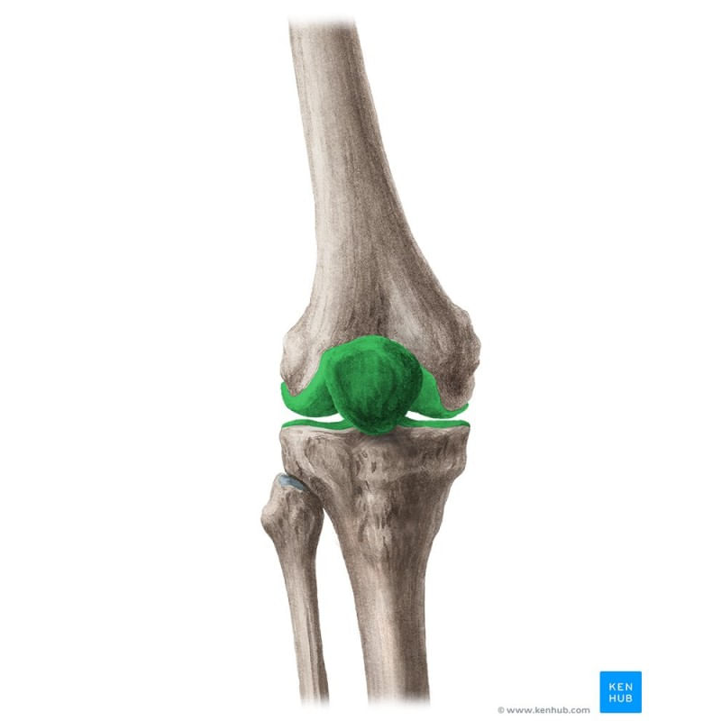 Ingrijire personala si Cosmetice - Sanatate si wellness - Suplimente alimentare - Vitamine si minerale - Pure Nutrition Joint Matrix (suport pentru articulatii) - 90 Tablete - Infinity.ro