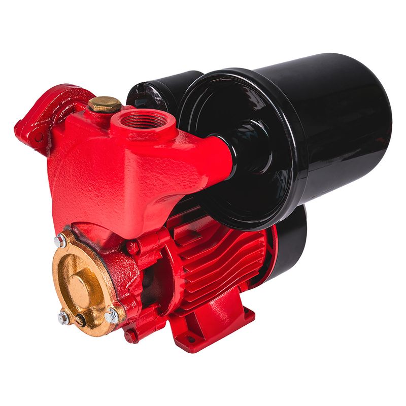 Casa si Gradina - Gradinarit si plante - Instalatii si accesorii pentru irigatii - Pompe apa - Mini hidrofor RD-WP550, 550 W, 1", 45 l / min, Raider 071110 - Infinity.ro