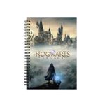 Jucarii, Copii si Bebe - Jucarii si jocuri - Jucarii de rol - Masti si costume copii - Set carnet si fular Hogwarts Legacy - Harry Potter - Infinity.ro