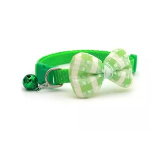 Petshop - Accesorii petshop - Infinity.ro