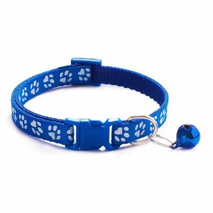 Petshop - Accesorii petshop - Zgarzi, lese si hamuri - Infinity.ro