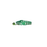 Petshop - Accesorii petshop - Zgarzi, lese si hamuri - Zgarzi - Zgarda ajustabila cu clopotel pentru caini si pisici, 18-32cm, Verde - Infinity.ro