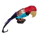 Jucarii, Copii si Bebe - Jucarii si jocuri - Jucarii de rol - Masti si costume copii - Accesoriu pentru deghizare, Papagal umar pirat, Multicolor. - Infinity.ro
