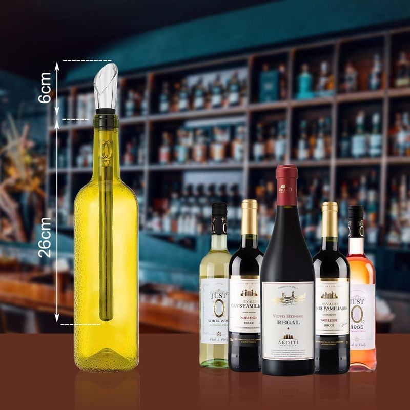Casa si Gradina - Bucatarie si vesela - Accesorii bar - Carafe si decantoare - Decantor de vin si aerator pentru vin cu tija  inoxidabila pentru mentineraea rece a vinului - Infinity.ro