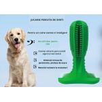 Petshop - Ingrijire si Igiena - Produse uz intern - Igiena dentara animale - Perie de dinti de cauciuc ecologic, 15 cm, pentru caini, multifunctionala pentru curatarea dintiilor - Infinity.ro