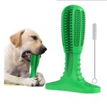 Petshop - Ingrijire si Igiena - Produse uz intern - Igiena dentara animale - Perie de cauciuc ecologic, 18 cm, pentru caini, in forma de cactus, jucarie multifunctionala pentru curatarea dintilor - Infinity.ro