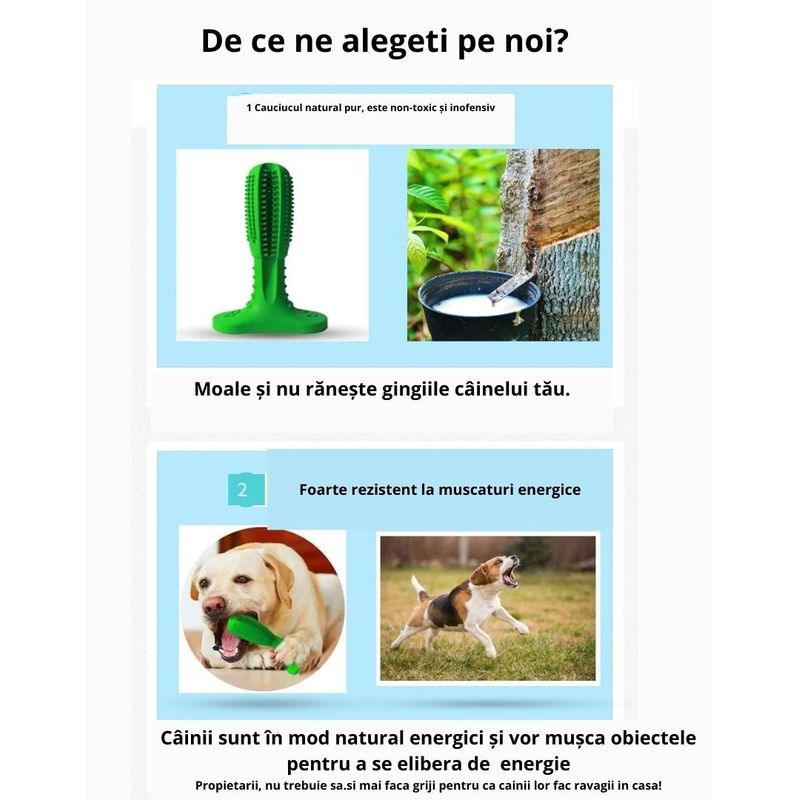 Petshop - Ingrijire si Igiena - Produse uz intern - Igiena dentara animale - Perie de cauciuc ecologic, 18 cm, pentru caini, in forma de cactus, jucarie multifunctionala pentru curatarea dintilor - Infinity.ro