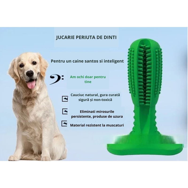 Petshop - Ingrijire si Igiena - Produse uz intern - Igiena dentara animale - Perie de cauciuc ecologic, 18 cm, pentru caini, in forma de cactus, jucarie multifunctionala pentru curatarea dintilor - Infinity.ro