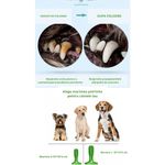 Petshop - Ingrijire si Igiena - Produse uz intern - Igiena dentara animale - Perie de cauciuc ecologic, 18 cm, pentru caini, in forma de cactus, jucarie multifunctionala pentru curatarea dintilor - Infinity.ro