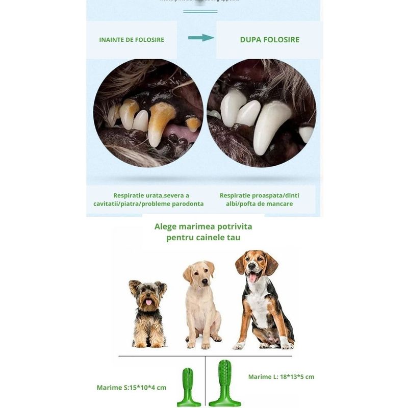 Petshop - Ingrijire si Igiena - Produse uz intern - Igiena dentara animale - Perie de cauciuc ecologic, 18 cm, pentru caini, in forma de cactus, jucarie multifunctionala pentru curatarea dintilor - Infinity.ro