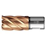 Casa si Gradina - Constructii - Scule electrice si accesorii - Seturi si accesorii pentru gaurit si insurubat - BDS - Carota HSS, VARIOPlus, KBK, prindere Weldon, 24mm, adancime 30mm [KBK-VP024] - Infinity.ro