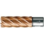 Casa si Gradina - Constructii - Scule electrice si accesorii - Seturi si accesorii pentru gaurit si insurubat - BDS - Carota HSS, VARIOPlus, KBI, prindere Weldon, 19mm, adancime 50mm [KBL-VP019] - Infinity.ro