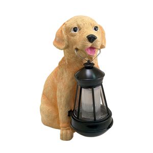 Casa si Gradina - Gradina si terasa - Decoratiuni exterior - Infinity.ro