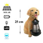 Casa si Gradina - Gradina si terasa - Decoratiuni exterior - Ornamente gradina - Decoratiune gradina, polirasina, lampa solara, catel cu felinar, 14x24x25 cm - Infinity.ro