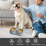Petshop - Accesorii petshop - Castroane si adapatori - Bol Dublu pentru Caini si Pisici WellLuck®, Recipiente Metalice Detasabile, Material Plastic si Bol Inox, Albastru - Infinity.ro