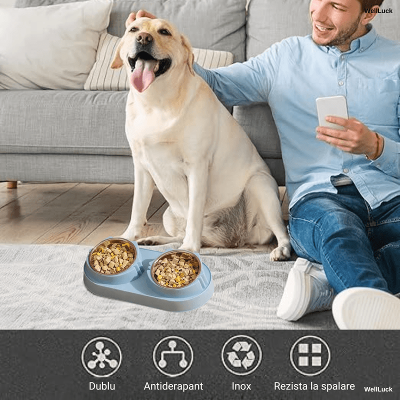 Petshop - Accesorii petshop - Castroane si adapatori - Bol Dublu pentru Caini si Pisici WellLuck®, Recipiente Metalice Detasabile, Material Plastic si Bol Inox, Albastru - Infinity.ro