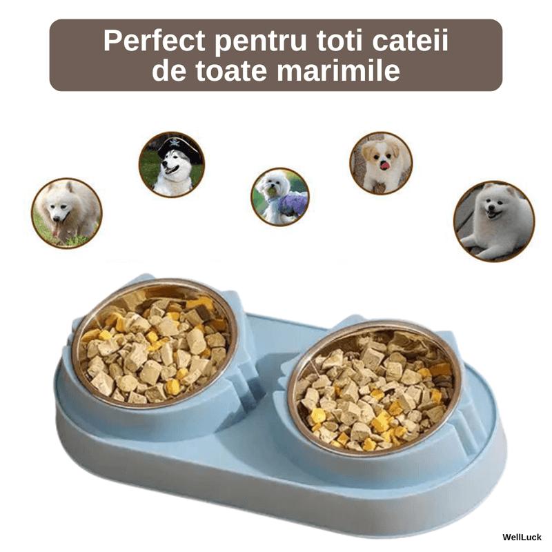 Petshop - Accesorii petshop - Castroane si adapatori - Bol Dublu pentru Caini si Pisici WellLuck®, Recipiente Metalice Detasabile, Material Plastic si Bol Inox, Albastru - Infinity.ro