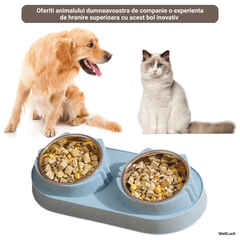 Petshop - Accesorii petshop - Castroane si adapatori - Bol Dublu pentru Caini si Pisici WellLuck®, Recipiente Metalice Detasabile, Material Plastic si Bol Inox, Albastru - Infinity.ro