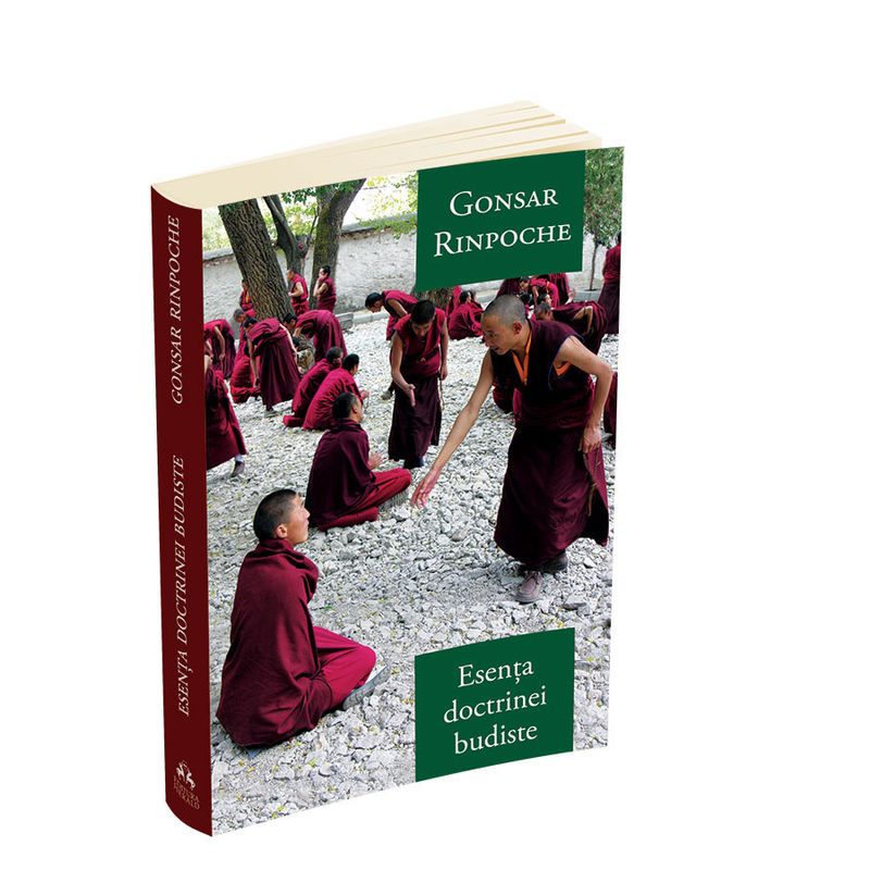 Carti si Birotica - Carti - Religie - Esenta doctrinei budiste - Infinity.ro