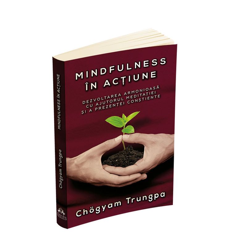 Carti si Birotica - Carti - Dezvoltare personala - Mindfulness in actiune - Dezvoltarea armonioasa cu ajutorul meditatiei si a prezentei constiente - Infinity.ro