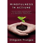 Carti si Birotica - Carti - Dezvoltare personala - Mindfulness in actiune - Dezvoltarea armonioasa cu ajutorul meditatiei si a prezentei constiente - Infinity.ro