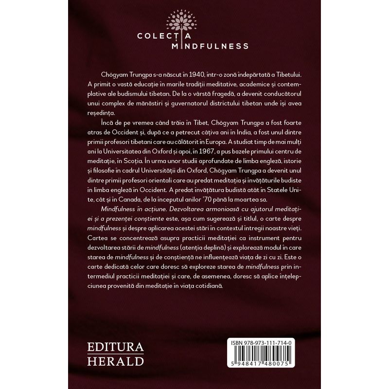 Carti si Birotica - Carti - Dezvoltare personala - Mindfulness in actiune - Dezvoltarea armonioasa cu ajutorul meditatiei si a prezentei constiente - Infinity.ro