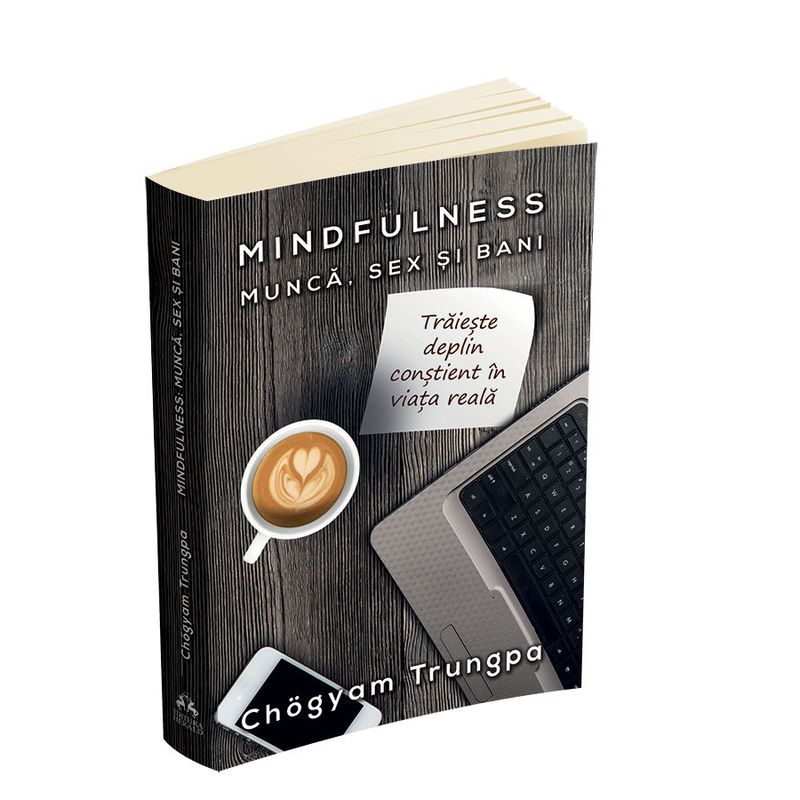 Carti si Birotica - Carti - Dezvoltare personala - MINDFULNESS : Munca, Sex si Bani - Traieste deplin constient in viata reala - Infinity.ro
