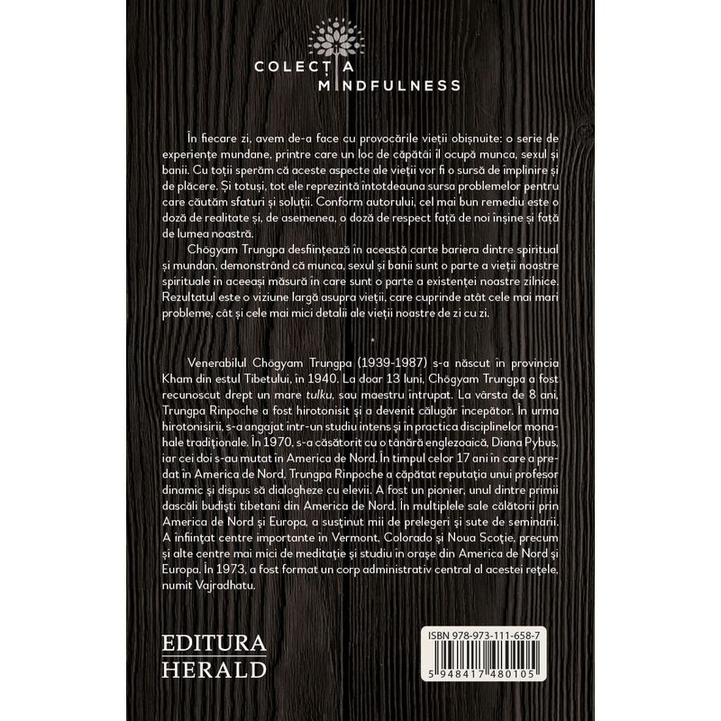 Carti si Birotica - Carti - Dezvoltare personala - MINDFULNESS : Munca, Sex si Bani - Traieste deplin constient in viata reala - Infinity.ro