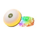 Casa si Gradina - Corpuri si surse de iluminat - Veioze si lampi - Lampadare - Lampa cu banda LED-uri  RGB pentru camping, 8m, IP44, lumina alba calda si colorata, alb - Infinity.ro