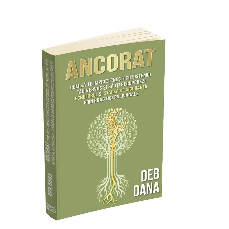 Carti si Birotica - Carti - Psihologie - Ancorat - Cum sa te imprietenesti cu sistemul tau nervos - practici polivagale - Infinity.ro