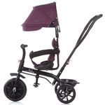 Jucarii, Copii si Bebe - Jucarii si jocuri - Jucarii de exterior - Triciclete - Tricicleta Chipolino Pulse lilac - Infinity.ro
