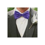 Fashion, accesorii si bijuterii - Barbati - Accesorii barbati - Cravate si papioane barbati - Papion cu aspect matasos, 12 x 7 cm, Dark Purple, PAP-DARKPURPLE - Infinity.ro