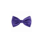 Fashion, accesorii si bijuterii - Barbati - Accesorii barbati - Cravate si papioane barbati - Papion cu aspect matasos, 12 x 7 cm, Dark Purple, PAP-DARKPURPLE - Infinity.ro