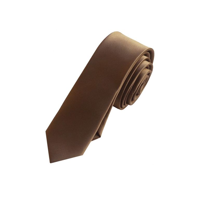 Fashion, accesorii si bijuterii - Barbati - Accesorii barbati - Cravate si papioane barbati - Cravata cu aspect matasos, maro, 155 x 5 cm, Vivo, CRV1 - Infinity.ro